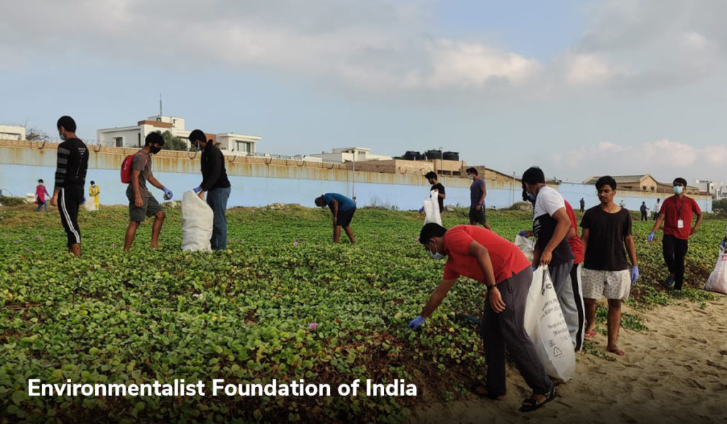 Environmental Foundation